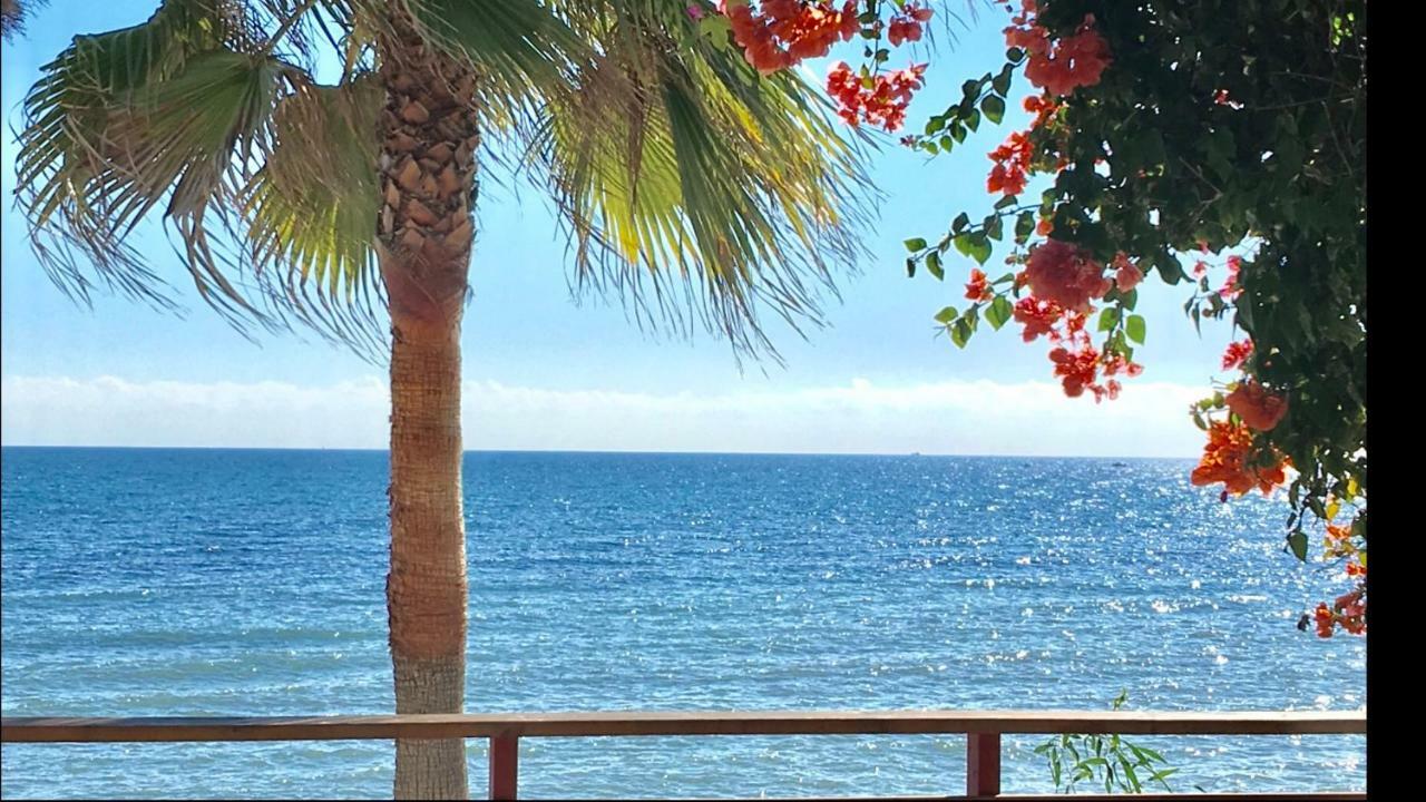 Mi Capricho 9A Beachfront- Apartment With Sea View - Costa Del Sol Sitio de Calahonda المظهر الخارجي الصورة